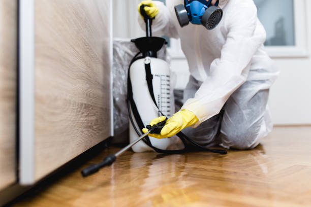 Best Residential Pest Control  in Shasta Lake, CA