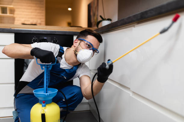 Best Flea Control Services  in Shasta Lake, CA