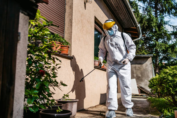 Best Best Pest Control Companies  in Shasta Lake, CA