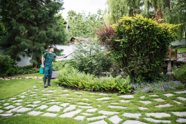 Best Cockroach Control Services  in Shasta Lake, CA
