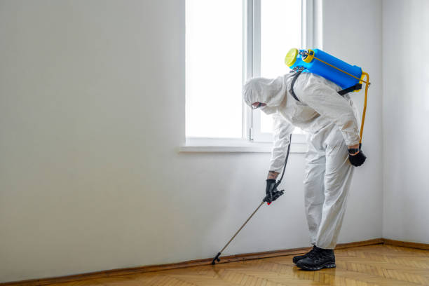 Best Cockroach Control Services  in Shasta Lake, CA