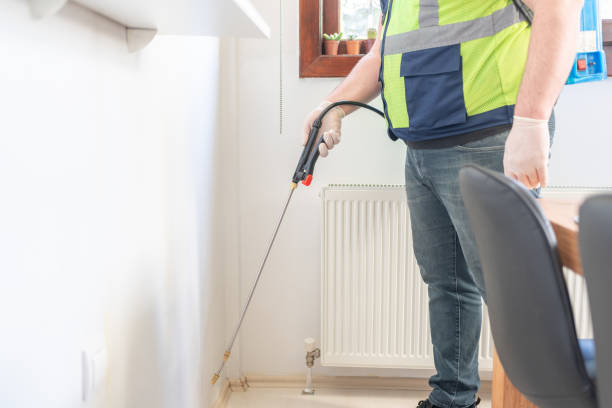 Best Ant Control Services  in Shasta Lake, CA