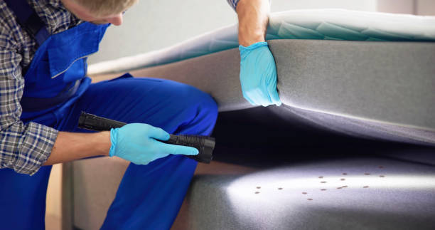 Professional Pest Control in Shasta Lake, CA