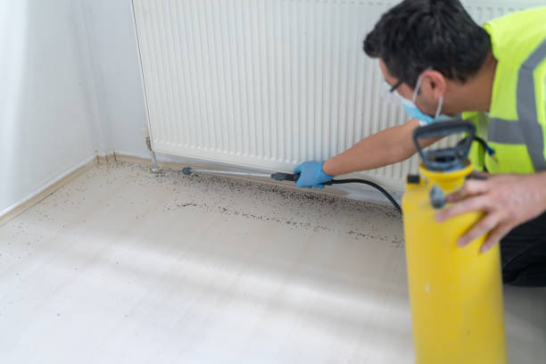 Best Pest Control Near Me  in Shasta Lake, CA