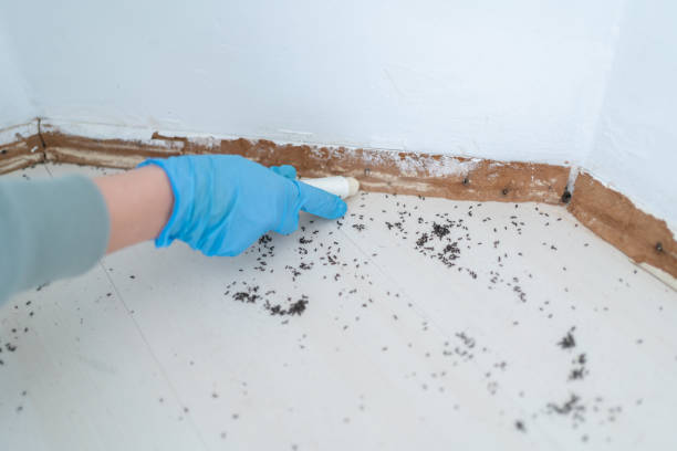 Best Commercial Pest Control Services  in Shasta Lake, CA