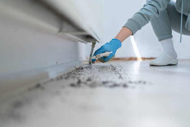 Best Pest Inspection Near Me  in Shasta Lake, CA